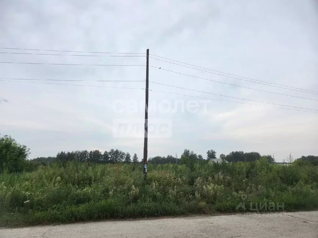 Участок в Новосибирская область, Искитимский район, д. Бурмистрово ул. ... - Фото 0