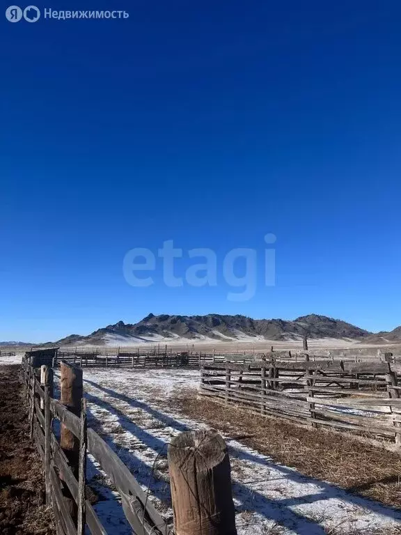 Участок в Усть-Канский район, село Усть-Кан (843.13 м) - Фото 1