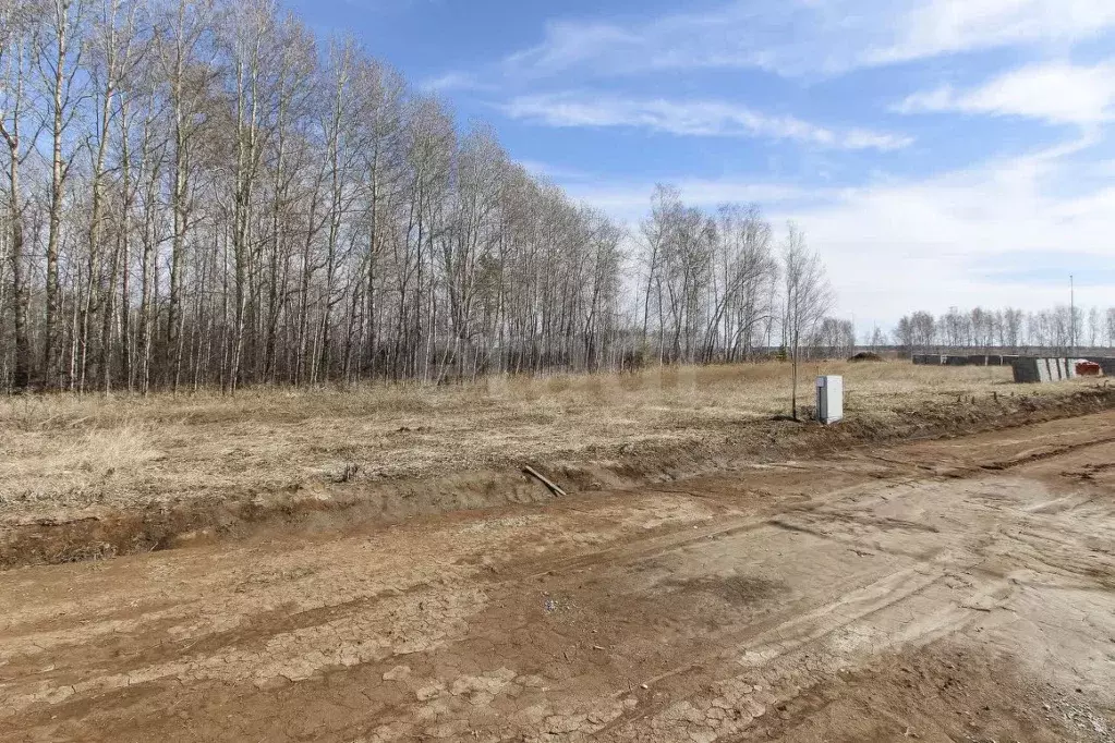 Участок в Тюменская область, Тюменский муниципальный округ, ... - Фото 1