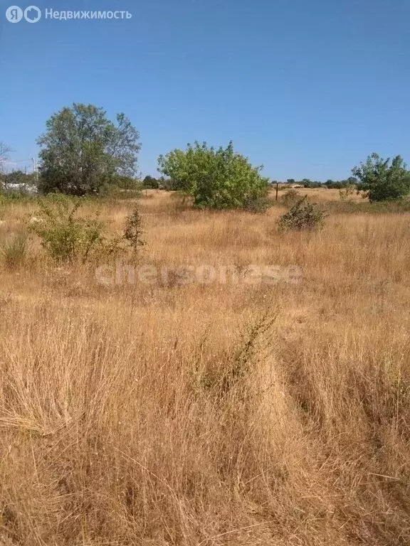 Участок в Севастополь, садоводческое товарищество Эллада-1 (4 м) - Фото 1