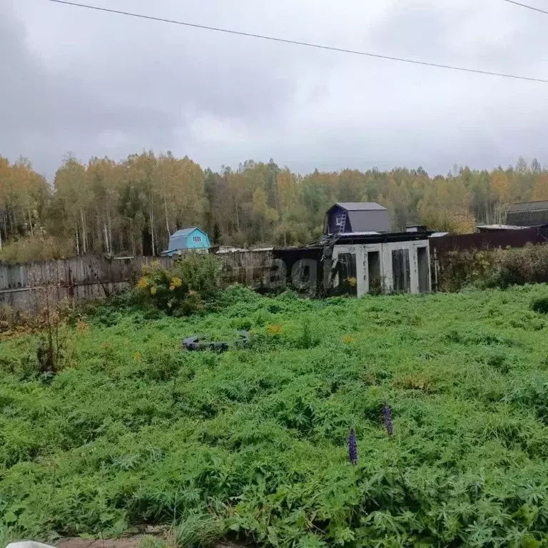 Дом в Кировская область, Киров Малинка (Перв) СДТ, ул. Центральная (40 ... - Фото 2
