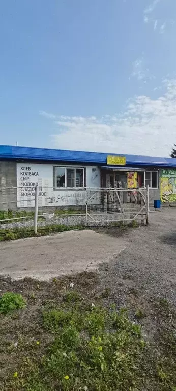 Дом в Новосибирская область, Новосибирский район, Толмачевский ... - Фото 1