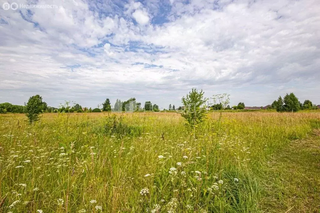 Участок в Новосибирская область, Коченёвский муниципальный район, ... - Фото 1