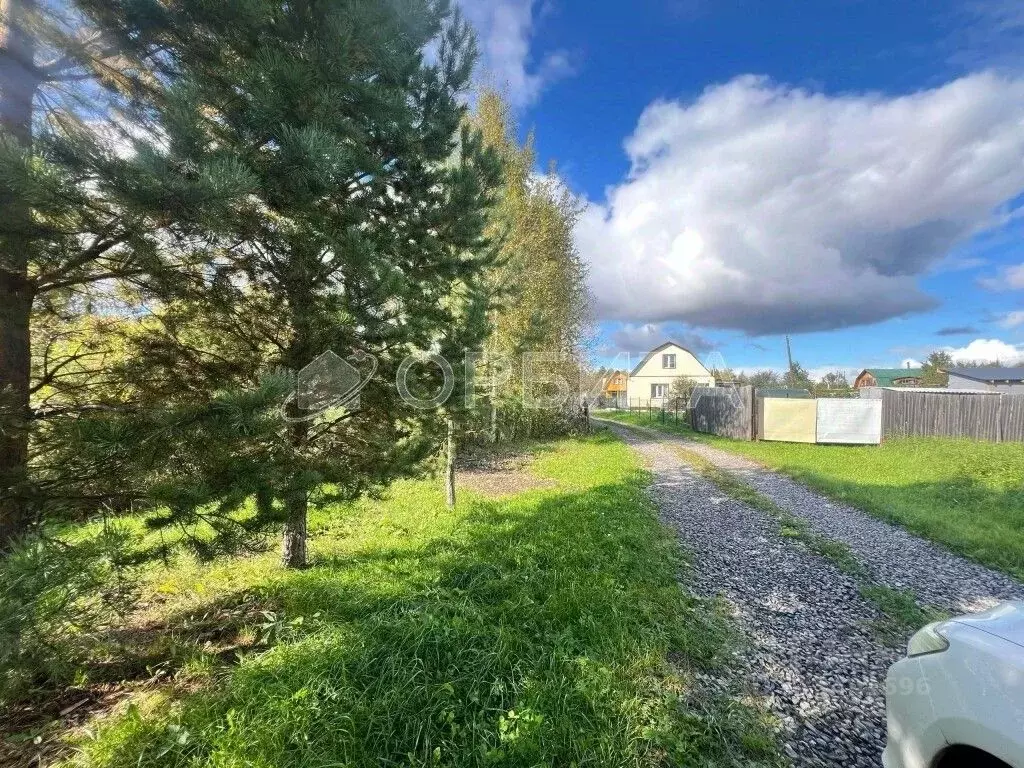 Участок в Тюменская область, Тюменский муниципальный округ, Нива СНТ ... - Фото 1