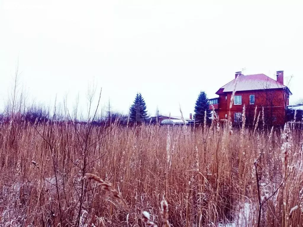 Участок в деревня Кондратово, Дачная улица (4.16 м) - Фото 2