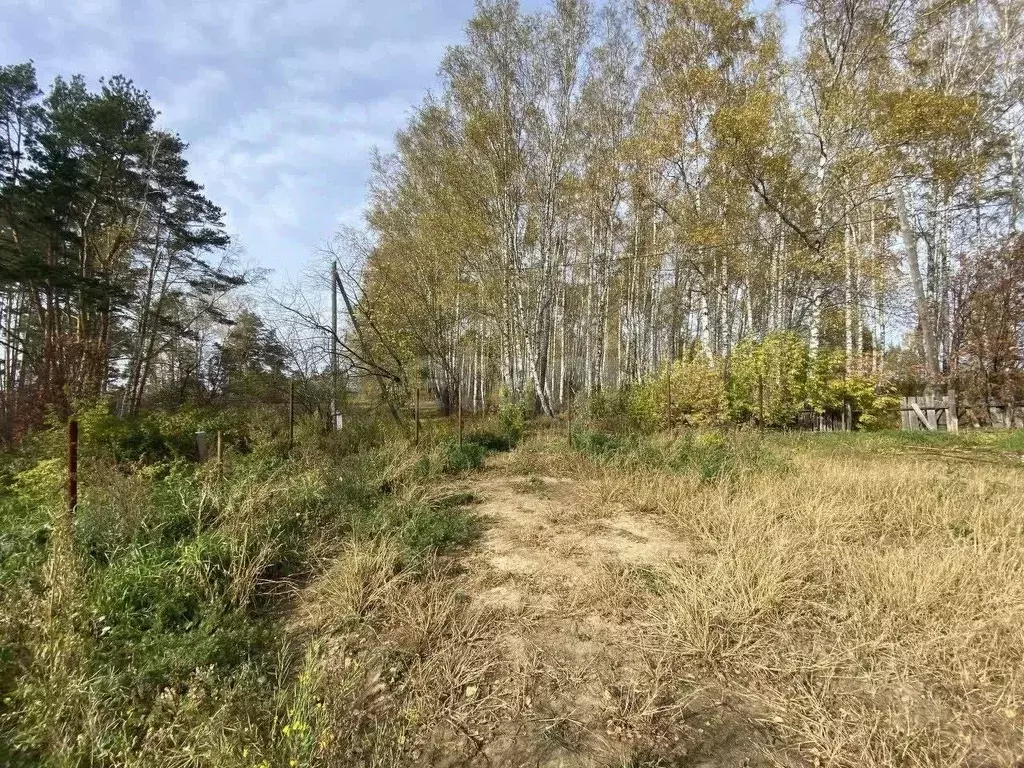 Участок в Тюменская область, Тюменский муниципальный округ, с. ... - Фото 2