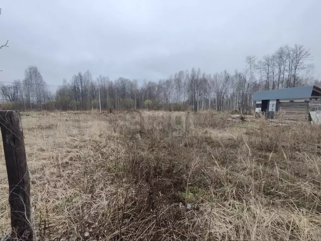 Участок в Тюменская область, Нижнетавдинский район, Здоровье-2 СНТ ул. ... - Фото 0