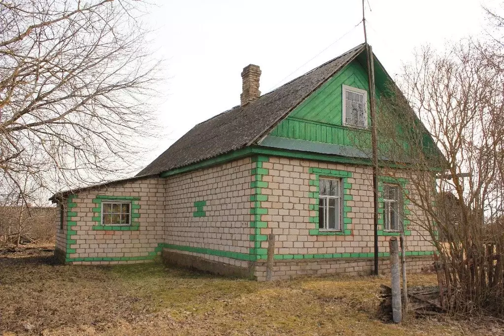 Дом в Псковская область, Гдовский район, Надозерье кп  (42 м) - Фото 0