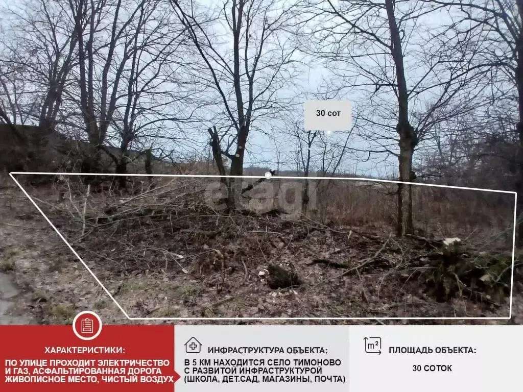 Участок в Белгородская область, Валуйский муниципальный округ, с. ... - Фото 2