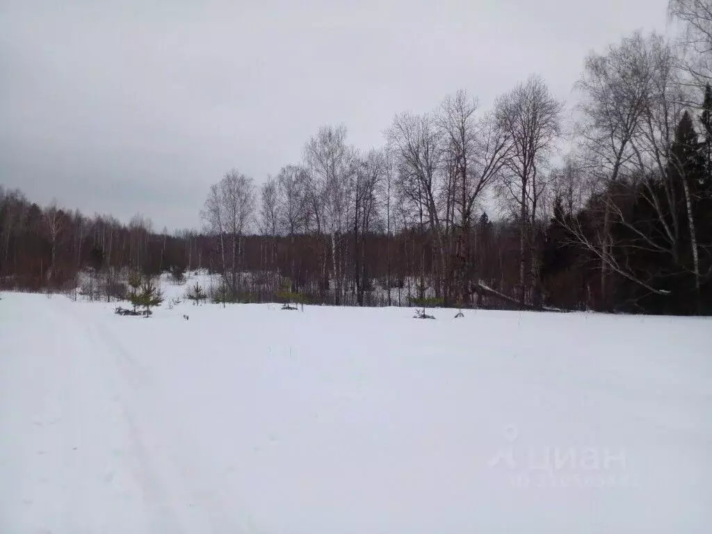 Участок в Владимирская область, Судогодский район, Головинское ... - Фото 1