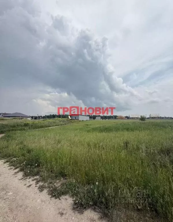 Участок в Новосибирская область, Новосибирский район, Морской ... - Фото 1