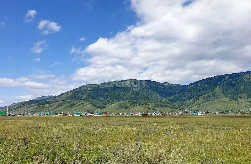 Участок в Алтай, Усть-Коксинский район, с. Баштала  (300.0 сот.) - Фото 0