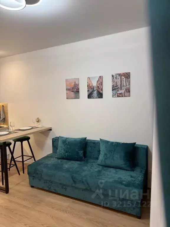 Студия Московская область, Котельники Парковый мкр, 14 (20.0 м) - Фото 2