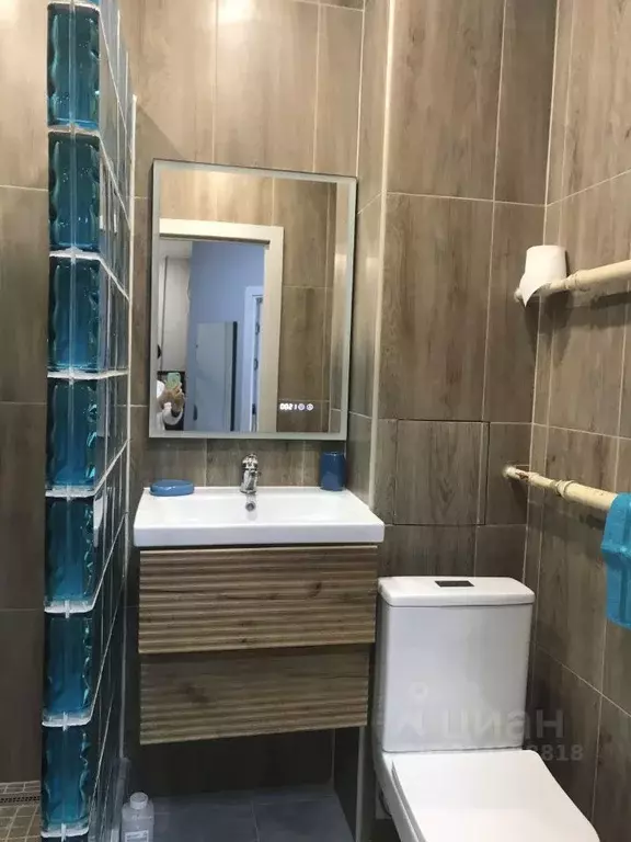 1-к кв. Псковская область, Псковский район, Завеличенская волость, д. ... - Фото 2