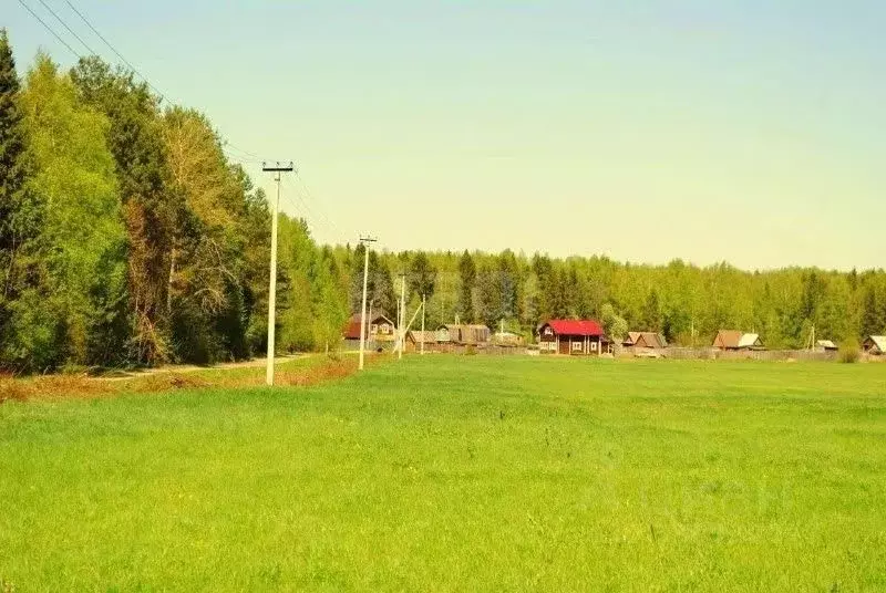 Участок в Кировская область, Киров городской округ, д. Гуси ул. ... - Фото 1
