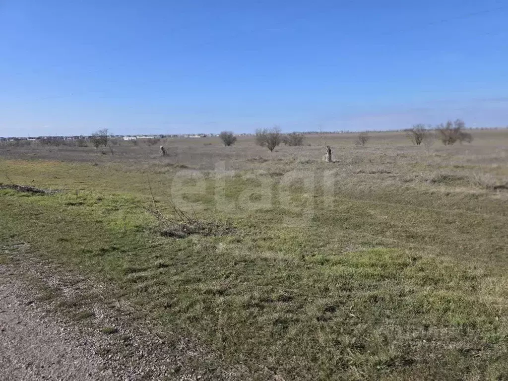 Участок в Крым, Симферопольский район, Николаевка пгт  (586.75 сот.) - Фото 1