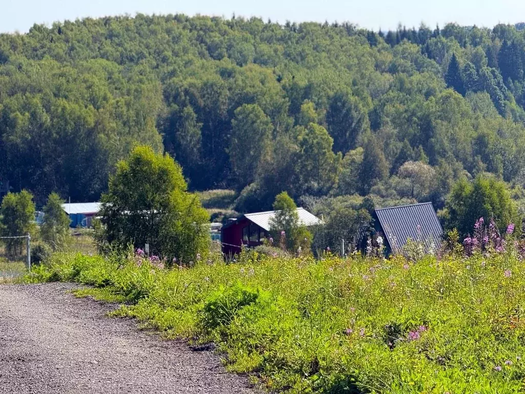 Участок в Московская область, Чехов городской округ, Филипповское кп  ... - Фото 1