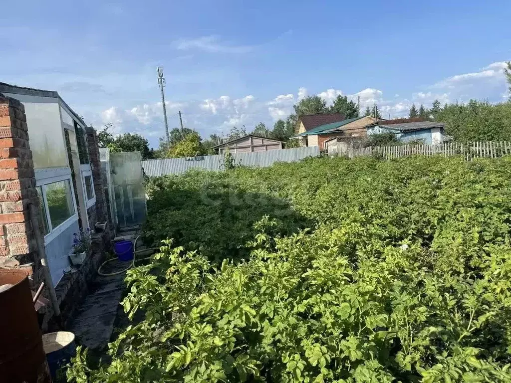 Дом в Омская область, Любинский район, пос. Камышловский  (10 м) - Фото 1