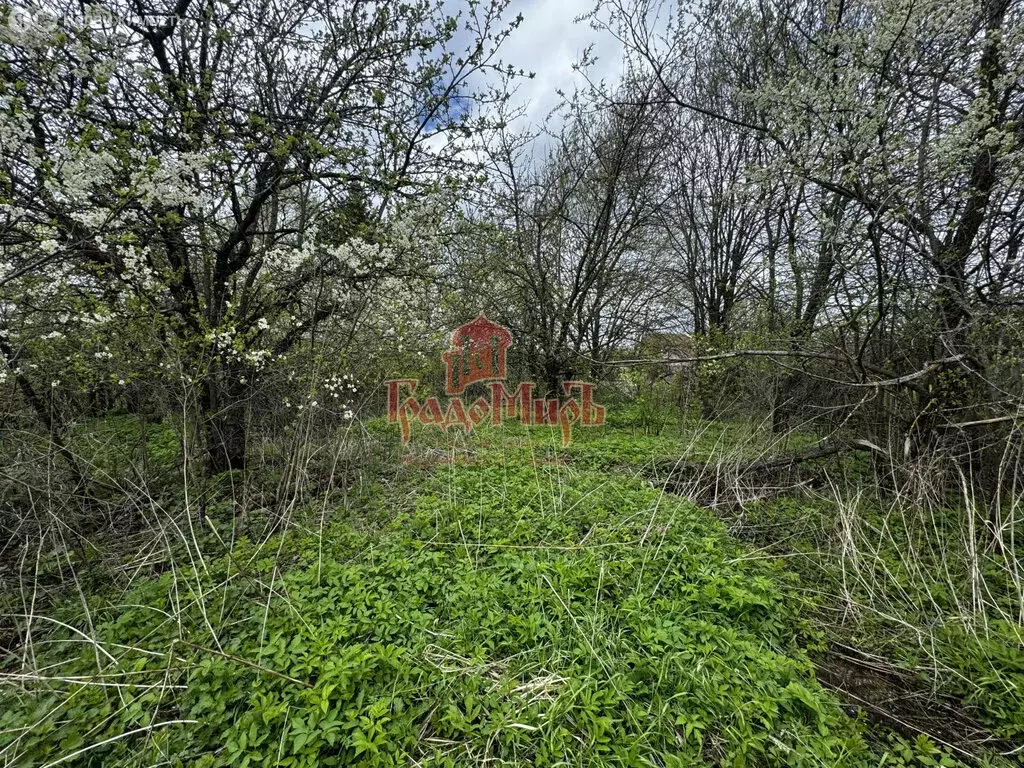 Участок в Сергиево-Посадский городской округ, деревня Слободка (25 м) - Фото 1
