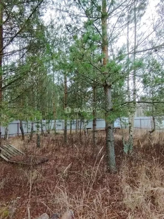 Участок в Московская область, Павлово-Посадский городской округ, д. ... - Фото 2