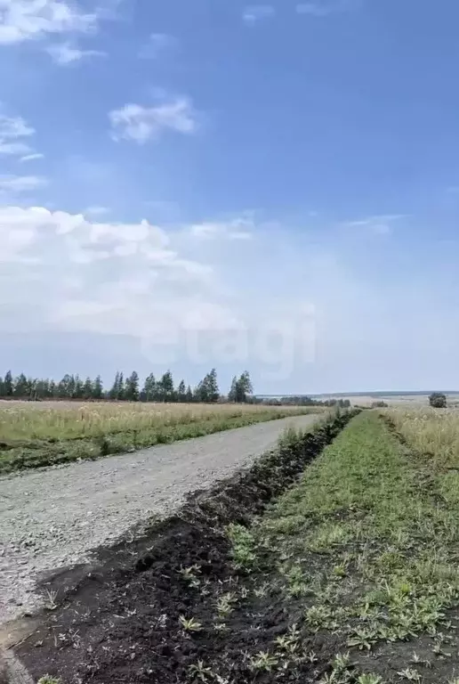 Участок в Мордовия, Лямбирский район, Берсеневское с/пос, Альтерра кп  ... - Фото 1