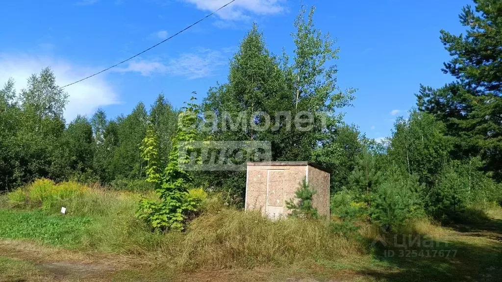 Участок в Марий Эл, Медведевский район, Куярское с/пос, Чодра СНТ 149 ... - Фото 2
