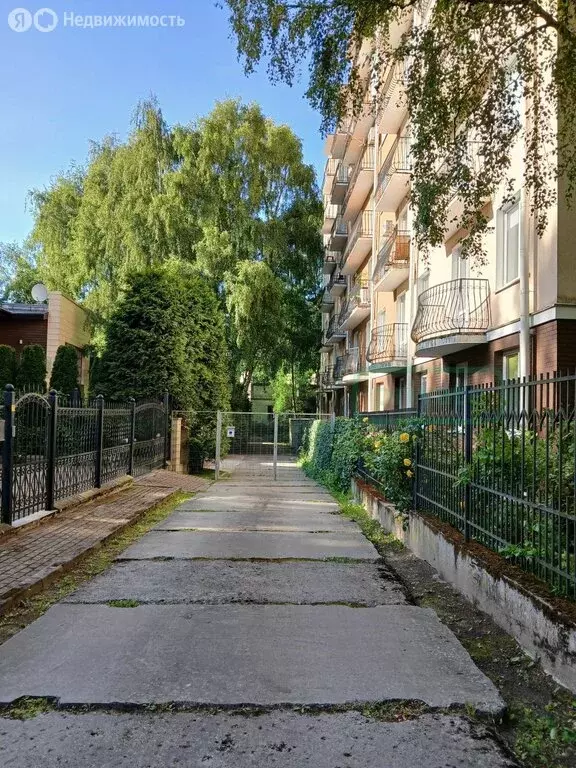 Участок в Светлогорск, Калининградский проспект (9 м) - Фото 1