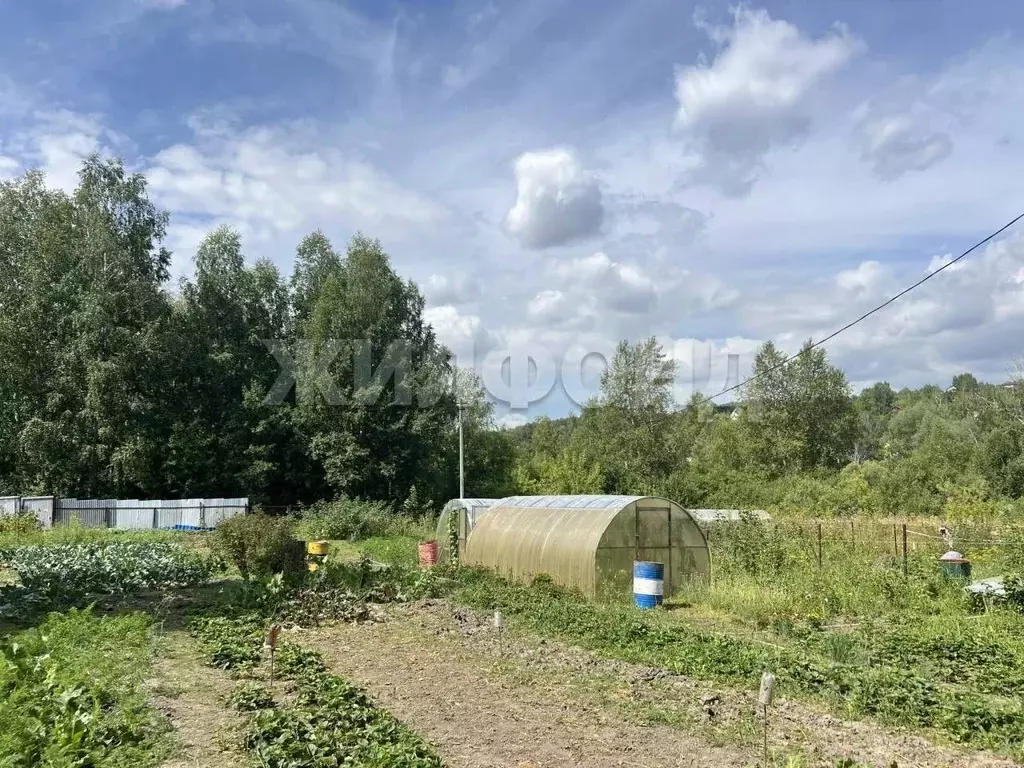 Участок в Новосибирская область, Новосибирск  (12.0 сот.) - Фото 2