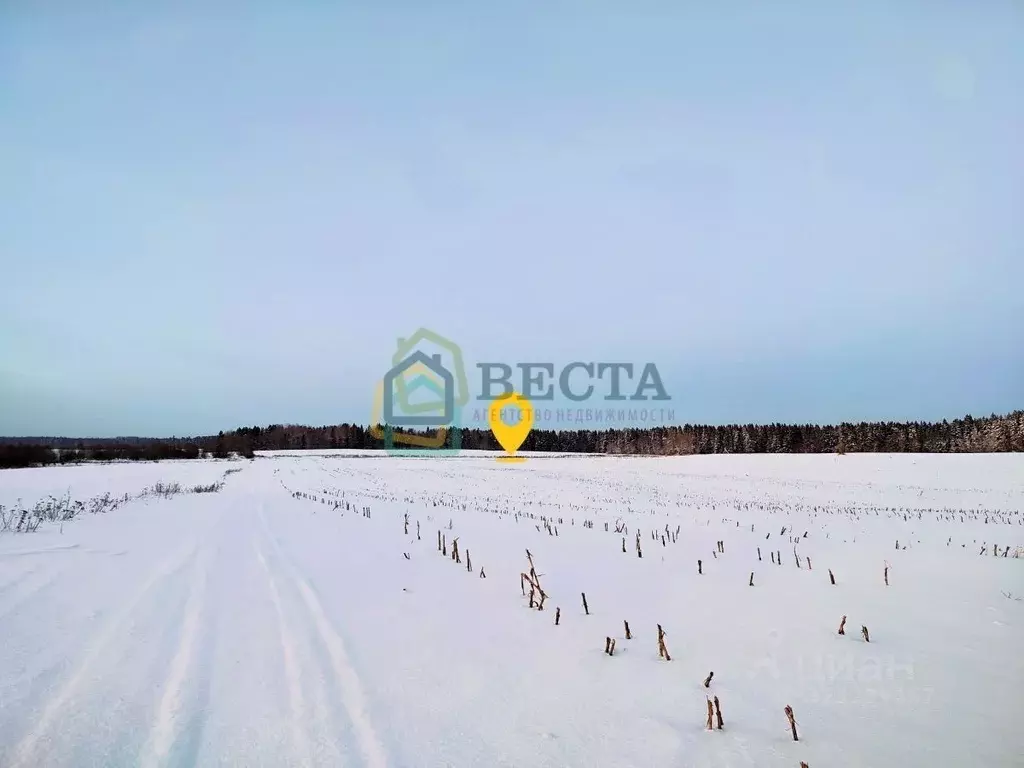 Участок в Ленинградская область, Волосовский район, Клопицкое с/пос, ... - Фото 2