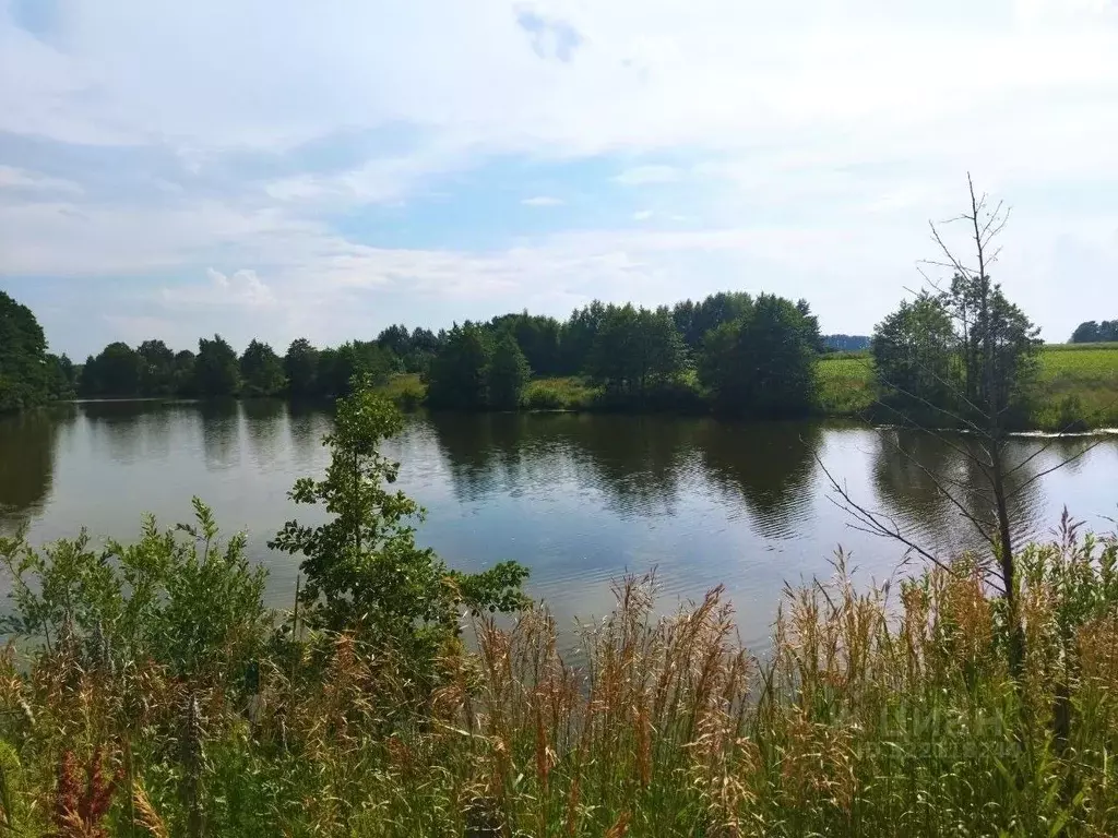 Участок в Тульская область, Ясногорский район, Теляковское с/пос, д. ... - Фото 1