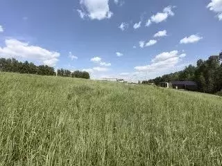Участок в Новосибирская область, Новосибирский район, Морской ... - Фото 1