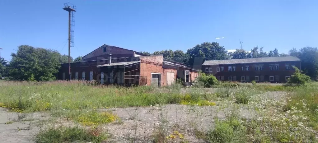 Производственное помещение в Калининградская область, Светлый ... - Фото 2