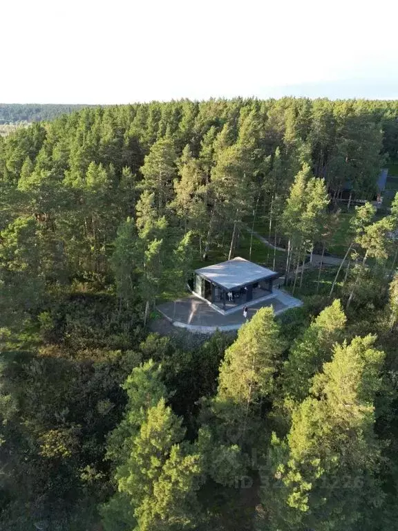 Дом в Новосибирская область, Маслянинский район, д. Чупино ул. ... - Фото 1