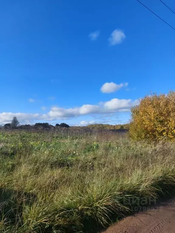 Участок в Ленинградская область, Ломоносовский район, Лопухинское ... - Фото 1