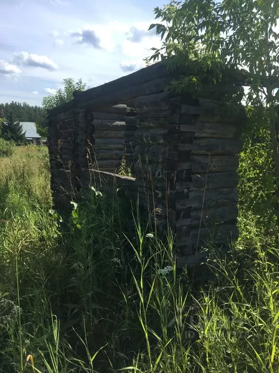 Погода баюновские ключи в первомайском районе. Нижняя Петровка Алтайский край