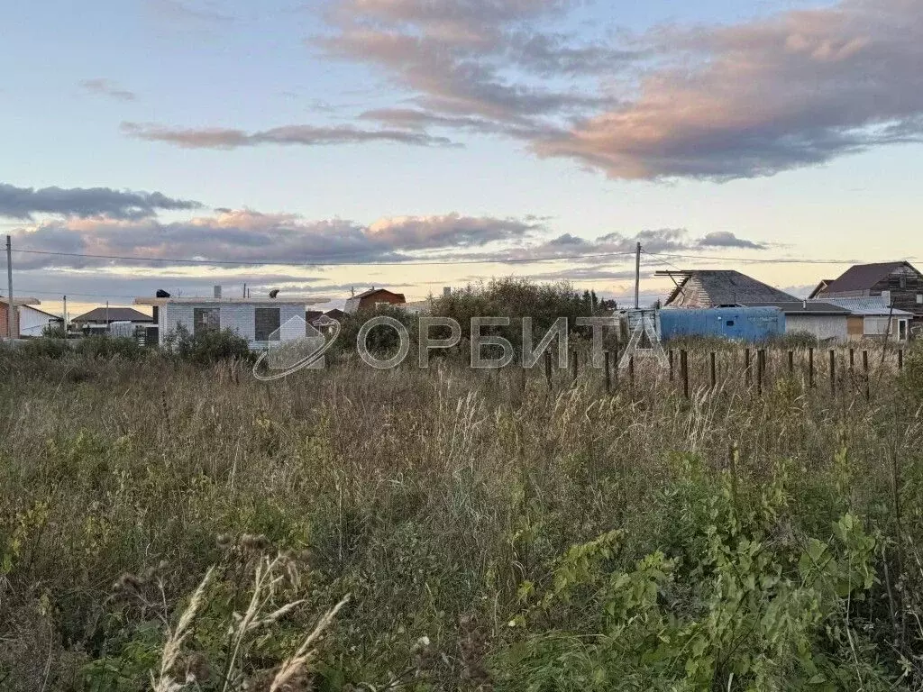 Участок в Тюменская область, Тюмень Царево садовое товарищество, ул. ... - Фото 0