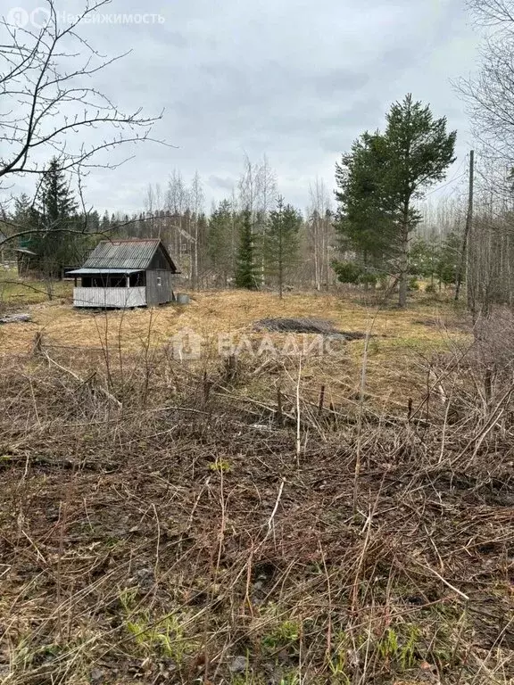 Участок в Деревянское сельское поселение, СНТ Турист, 35 (23 м) - Фото 0