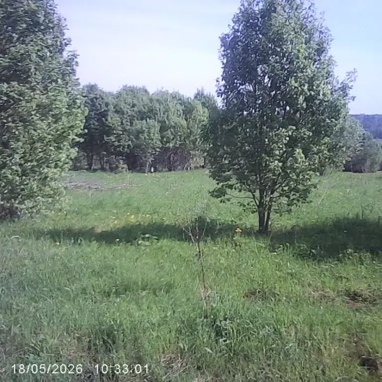 Участок в Московская область, Шаховская муниципальный округ, д. ... - Фото 1