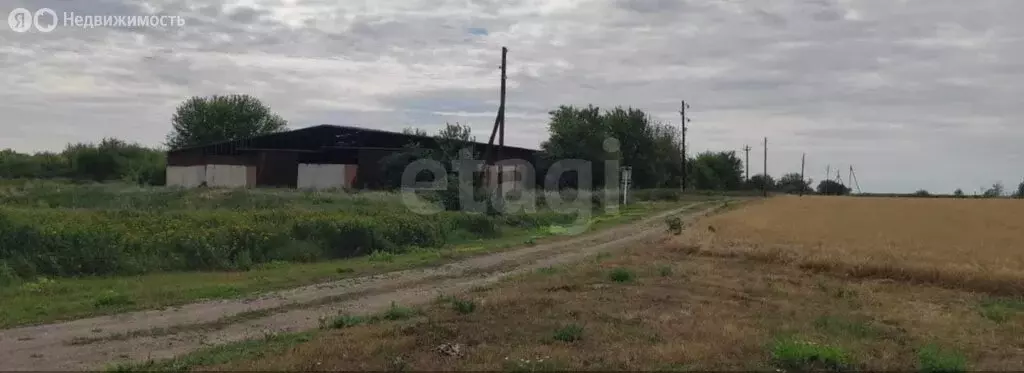 Участок в Ростовская область, слобода Родионово-Несветайская (874.55 ... - Фото 2