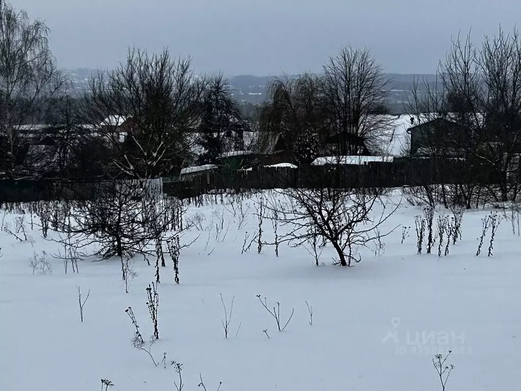 Участок в Московская область, Ступино городской округ, с. Старая ... - Фото 2