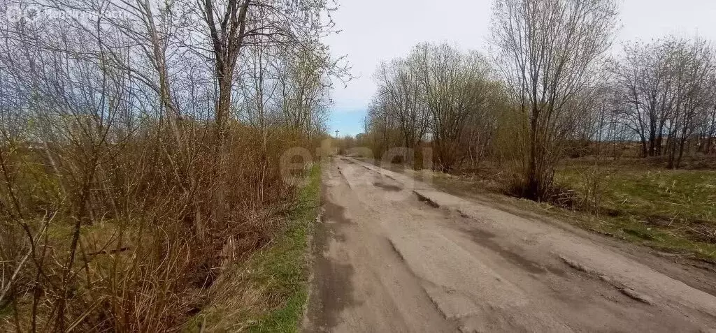 Участок в Архангельская область, Приморский муниципальный округ, ... - Фото 1