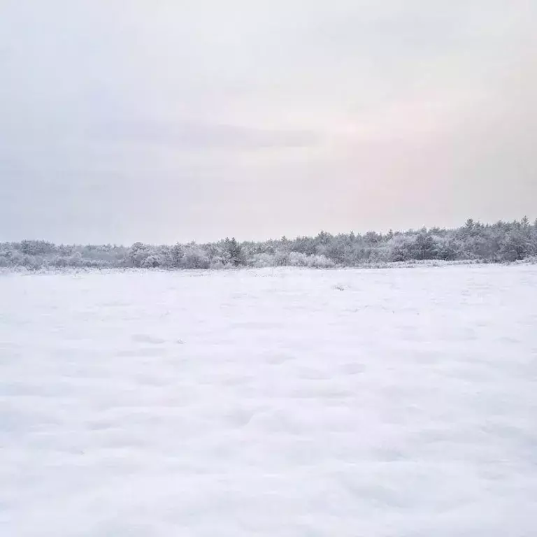 Участок в Сахалинская область, Анивский городской округ, с. ... - Фото 2