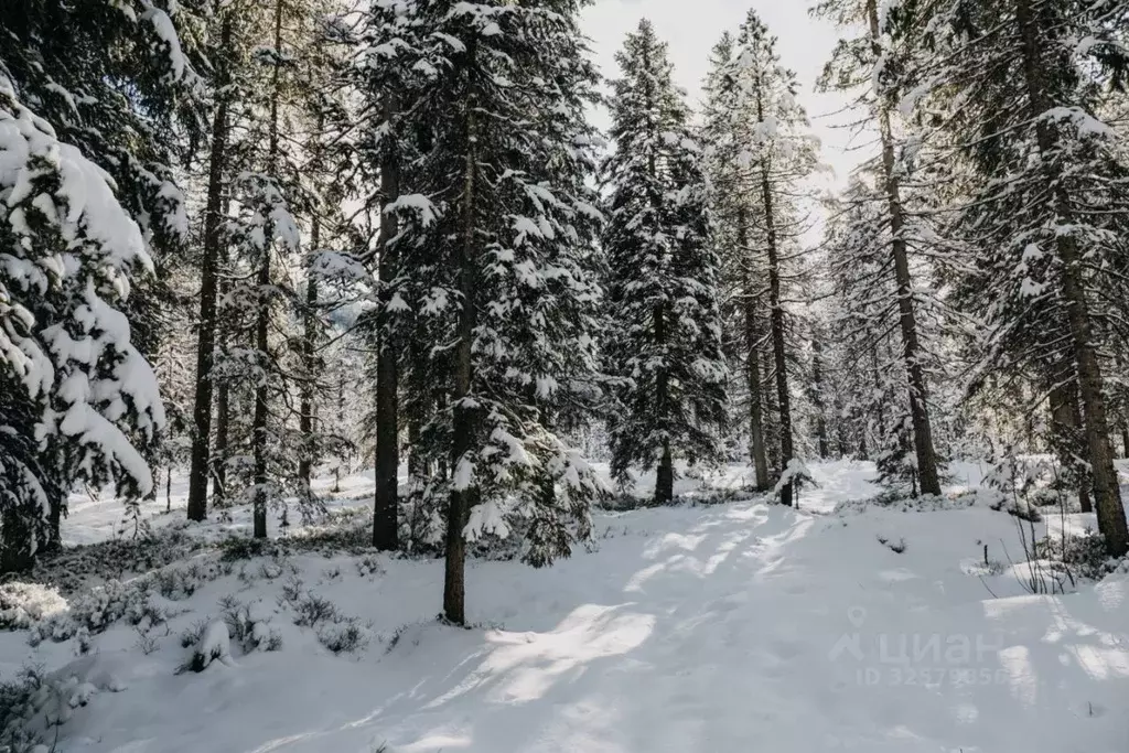 Участок в Московская область, Одинцовский городской округ, д. Дунино  ... - Фото 1