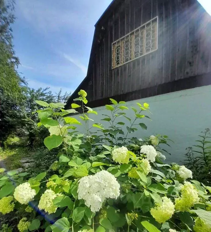 Дом в Кемеровская область, Кемеровский район, Черемушки СНТ 404 (59 м) - Фото 1