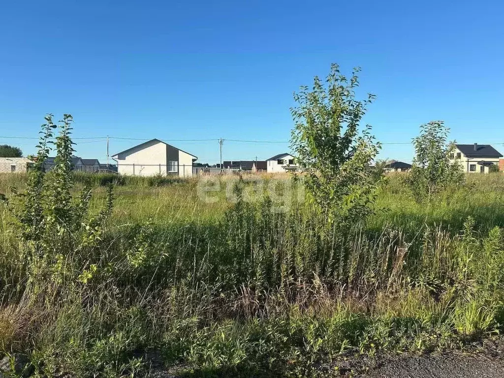 Участок в Калининградская область, Гурьевский муниципальный округ, ... - Фото 2