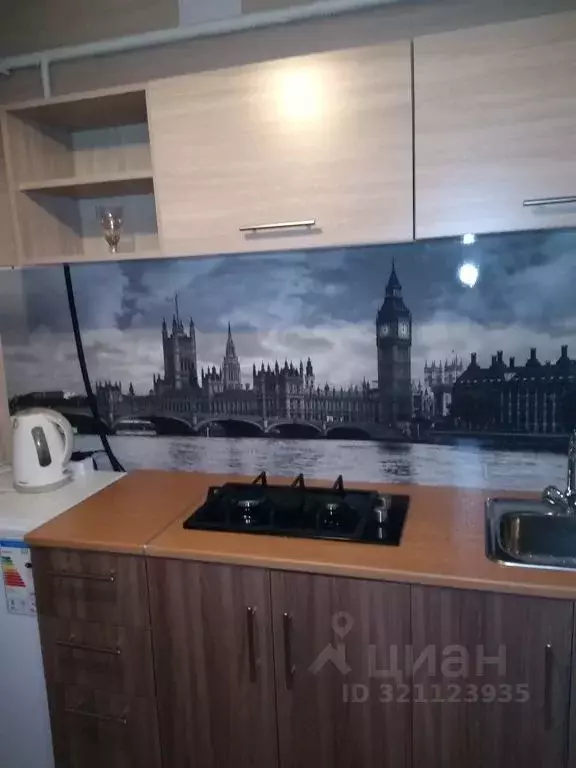 1-к кв. Ярославская область, Ярославль ул. Урицкого, 60 (20.0 м) - Фото 0