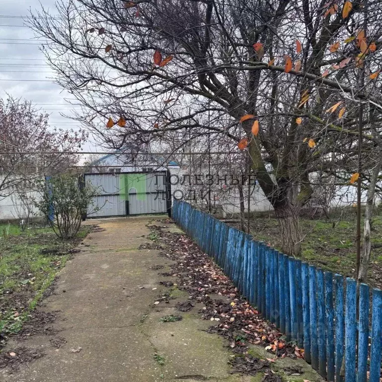 Дом в Крым, Черноморский район, с. Красная Поляна ул. Ленина (73 м) - Фото 2