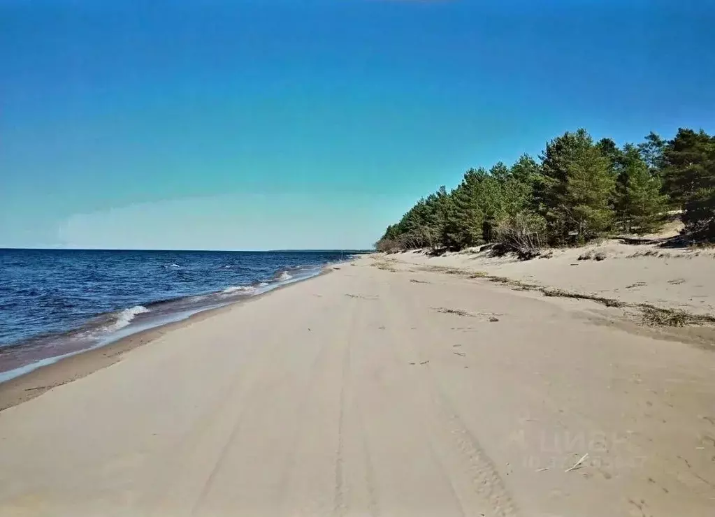 Участок в Ленинградская область, Кировский район, Суховское с/пос, д. ... - Фото 2