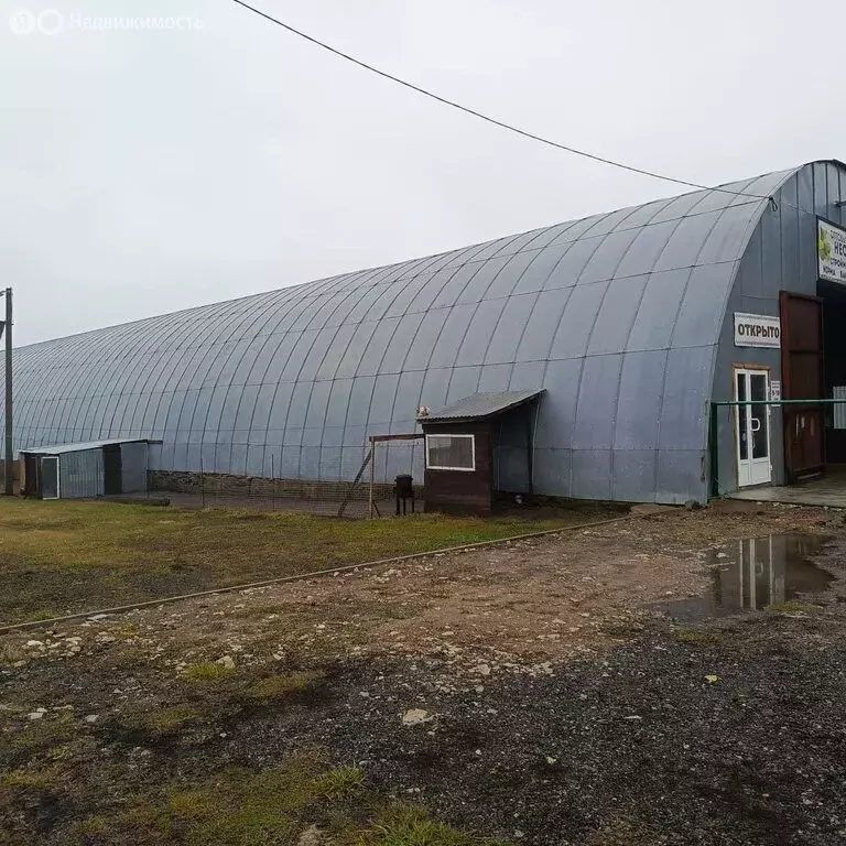 Торговая площадь (1650 м) - Фото 2