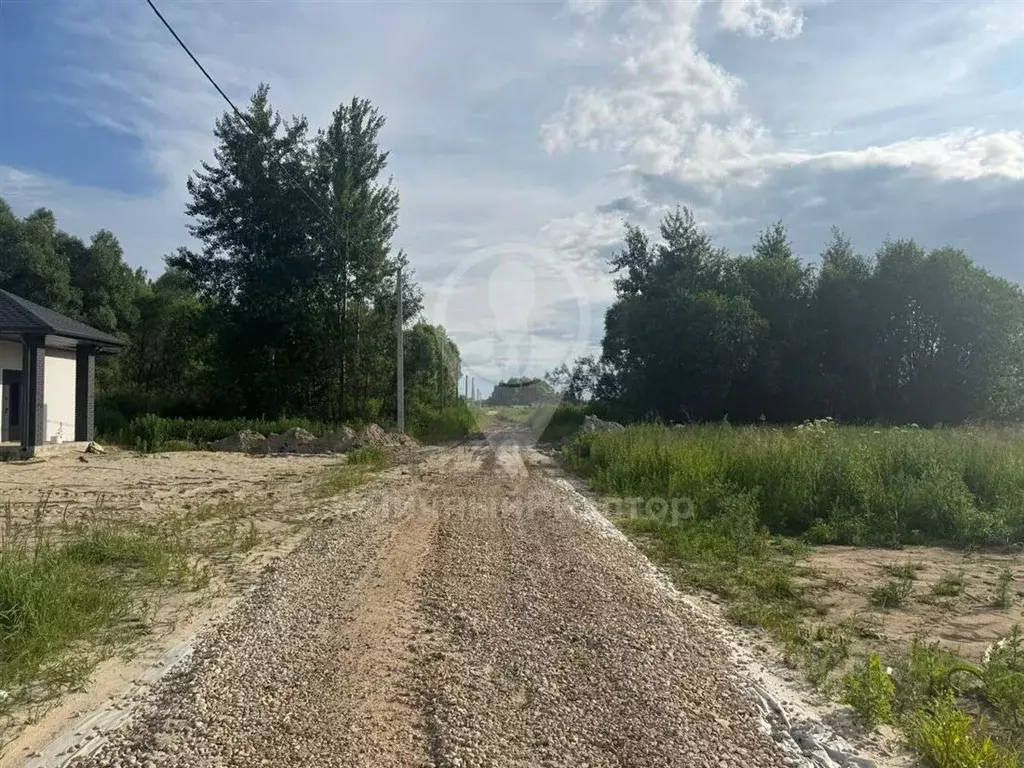 Участок в Рязанская область, Рязанский муниципальный округ, с. Поляны  ... - Фото 2